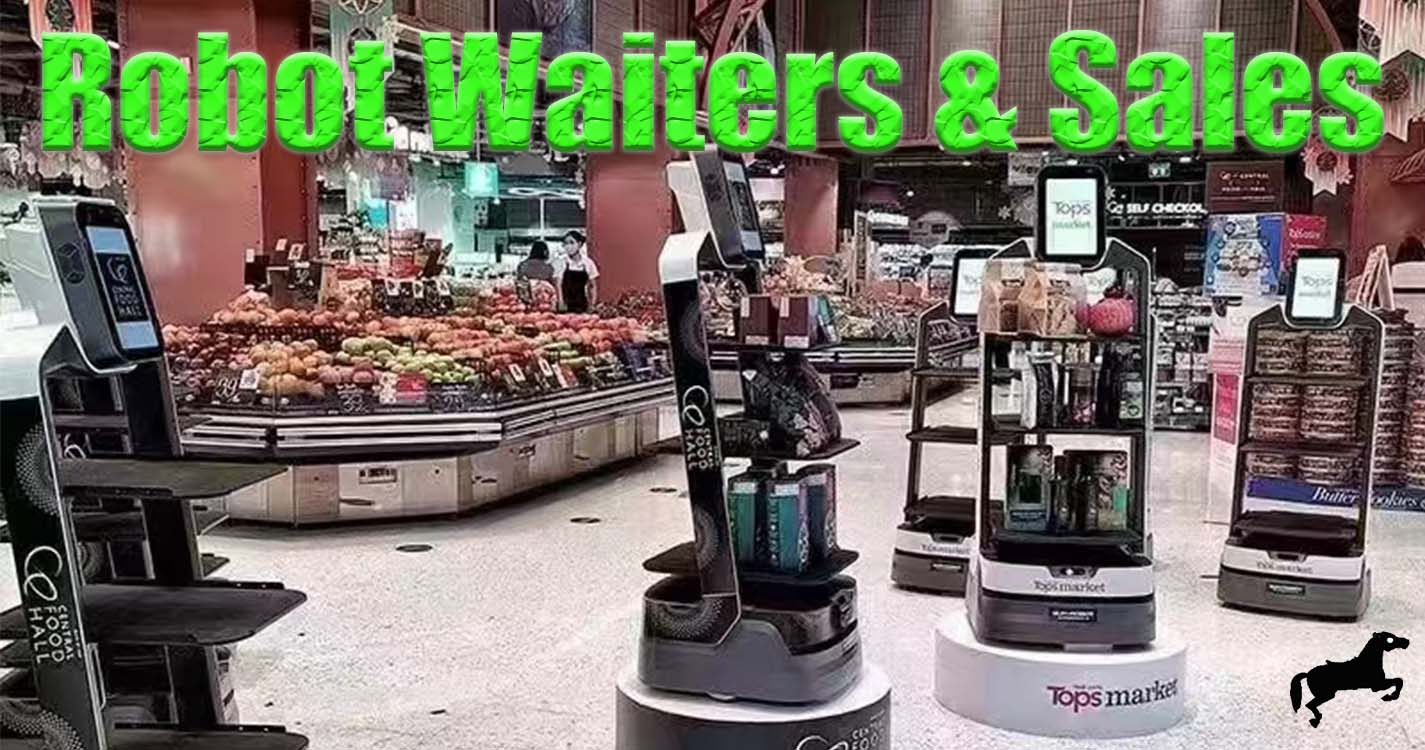 Food Delivery Robots